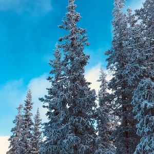 Meet your Posher, Benjamin